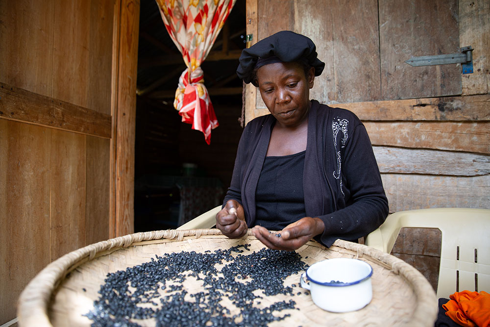 Rosmaine Poliscar sorts beans at her home on a mango plantation in the Centre department of Haiti. (Photo: Kieran McConville/Concern Worldwide)