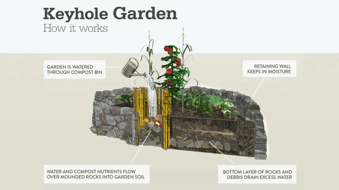 How a keyhole garden works