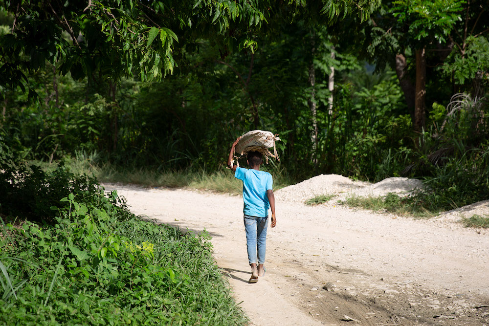 A young boy walks home from the market along a road in rural Haiti. (Photo: Kieran McConville/Concern Worldwide)