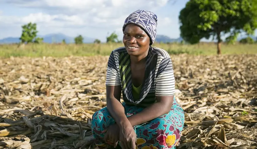 A women farmer in Malawi with a conservation agriculture plot A women farmer in Malawi with a conservation agriculture plot