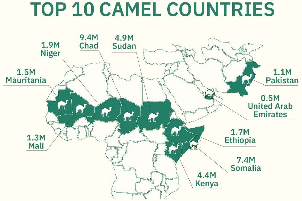 a map of the top 10 camel countries
