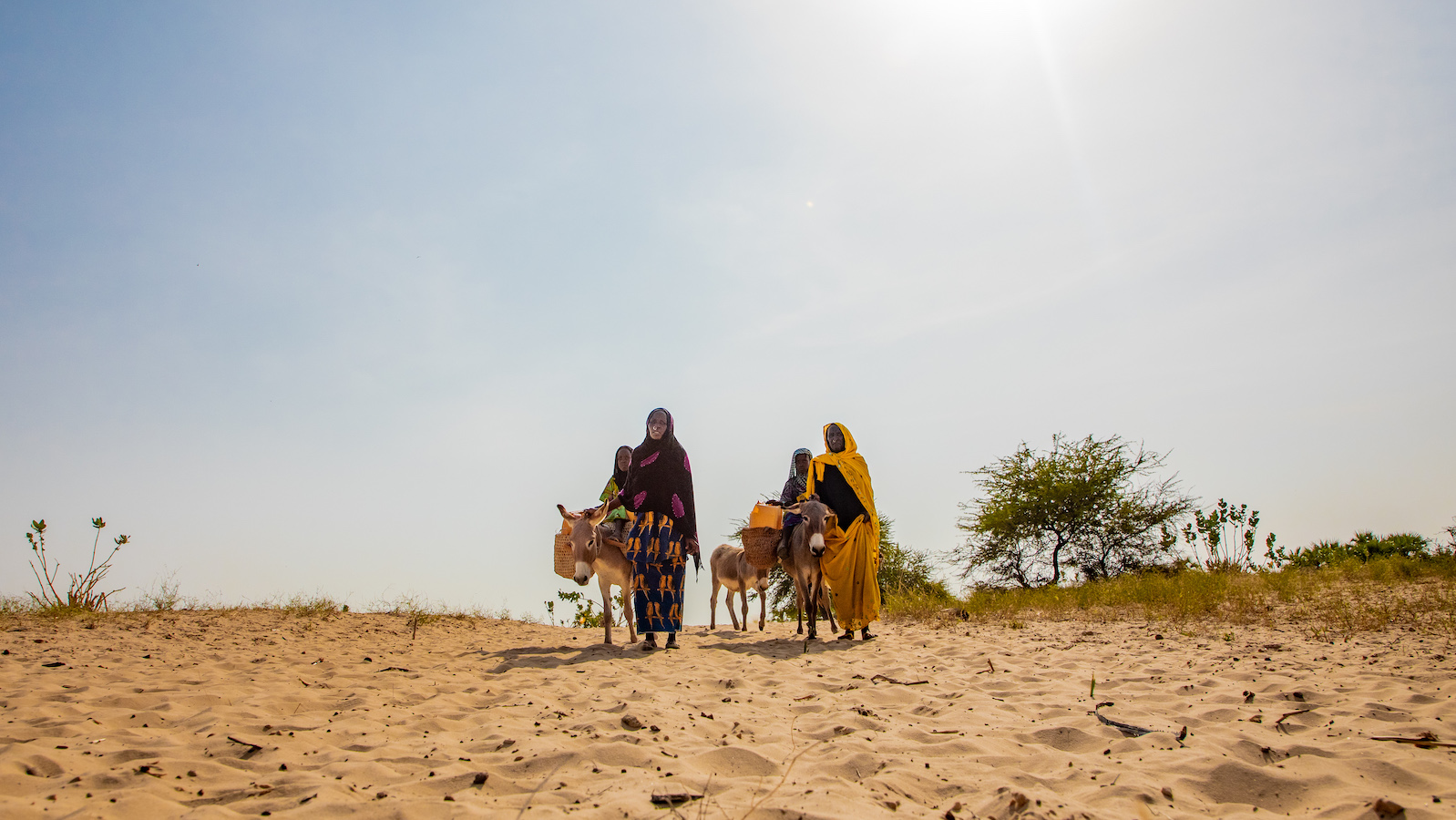 Harta*, Hamila*, Hdidja*, and Fadoul* travel far distances to find water in Chad. (Photo: Gavin Douglas/Concern Worldwide, names changed for security)