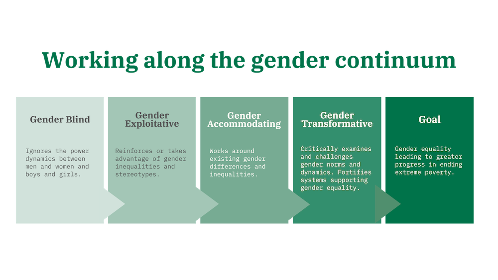 Gender continuum framework.