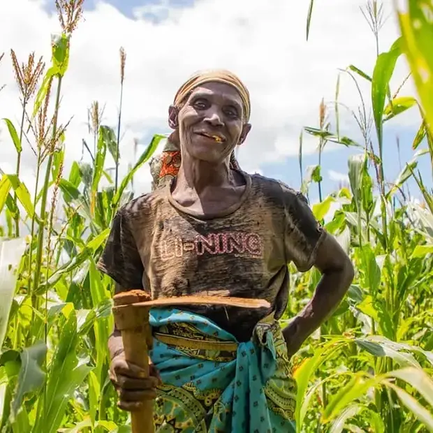 Female farmer in Malawi surrounded by crops