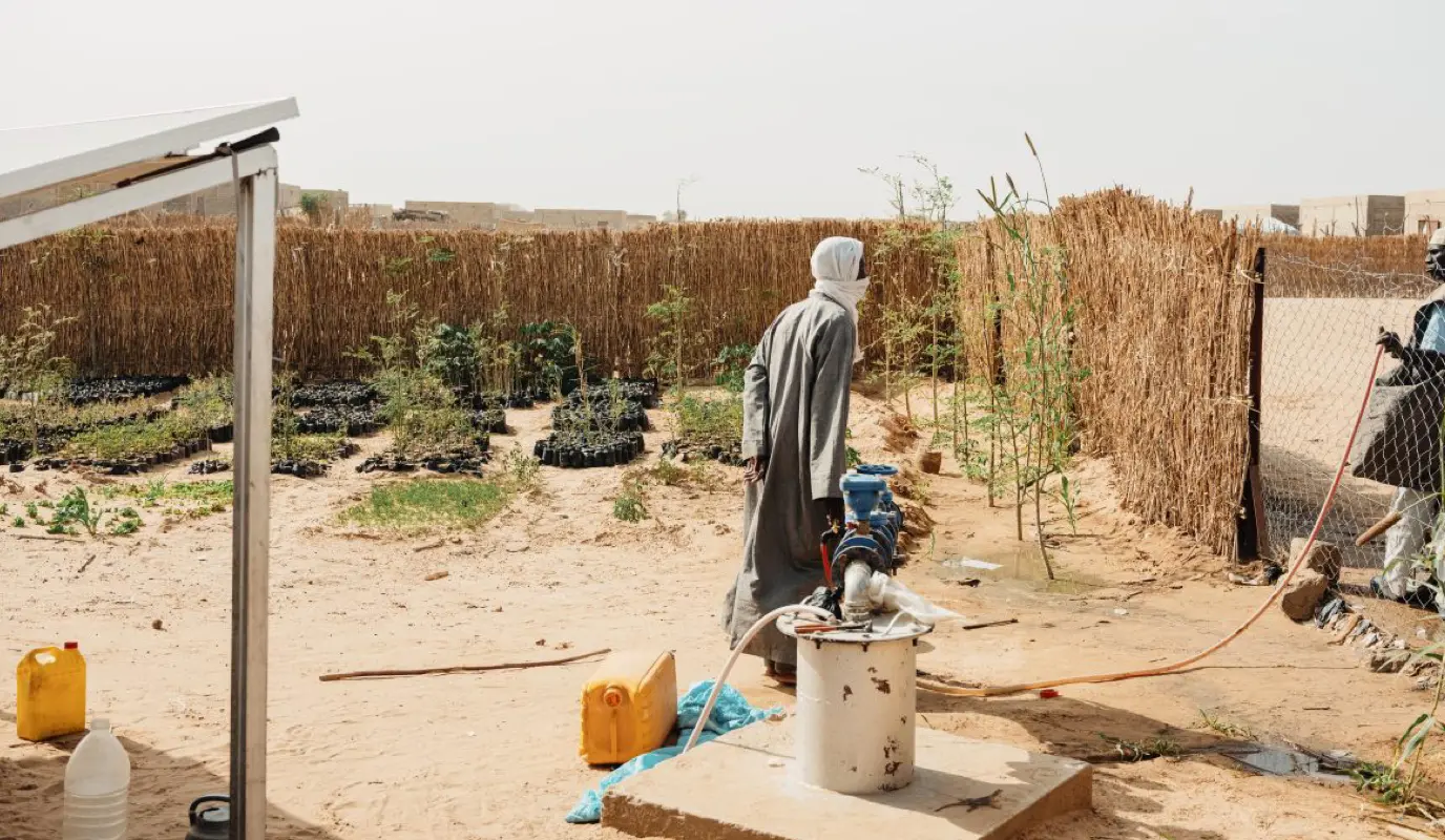 A Concern livelihoods and agriculture project for refugees, displaced persons, and returnees, provides nursery plants, vegetables, mulcher and solar pumps in Diffa, Niger. A Concern livelihoods and agriculture project for refugees, displaced persons, and returnees, provides nursery plants, vegetables, mulcher and solar pumps in Diffa, Niger.