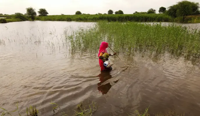 2022 floods in Pakistan