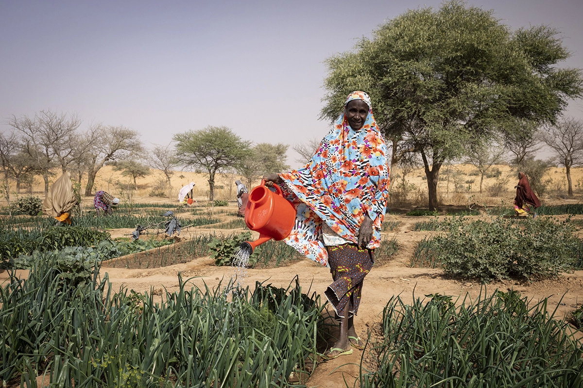 Doma Mahamadou is a great-grandmother with 7 children, 10 grandchildren, and 5 great-grandchildren. She works in her home garden in Tounji Illy, Niger. (Photo: Ed Ram/Concern Worldwide)