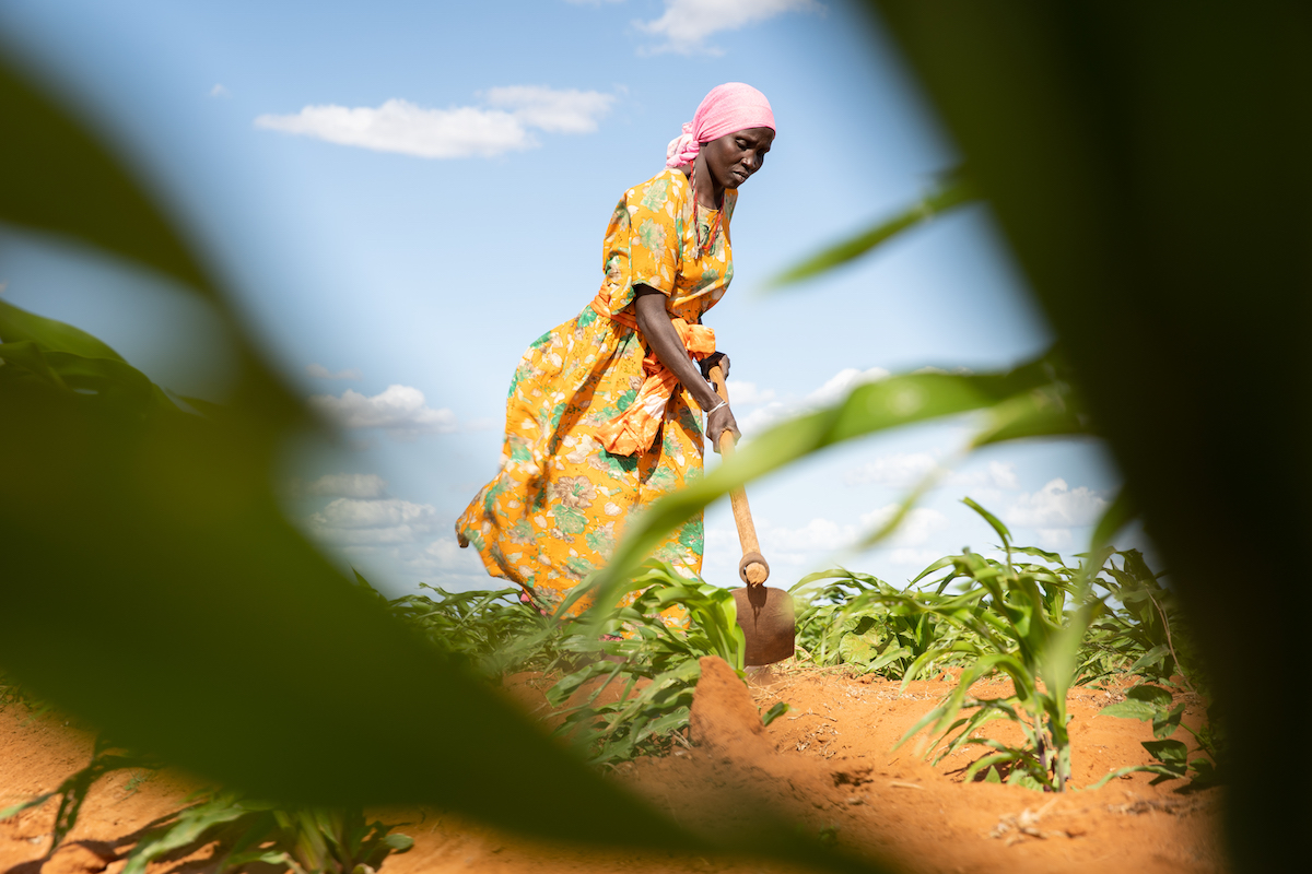 LEAF participant Mumina Mohamed on irrigated plot of maize next to her home in Subo village. Photo: Lisa Murray/Concern Worldwide