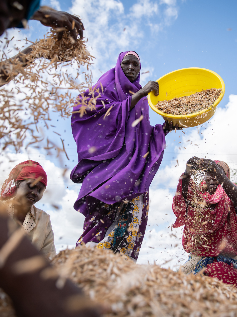 Hadija Hassan (purple) and other farmers winnow mung beans in Makere village in Tana River County. Photo: Lisa Murray/Concern Worldwide