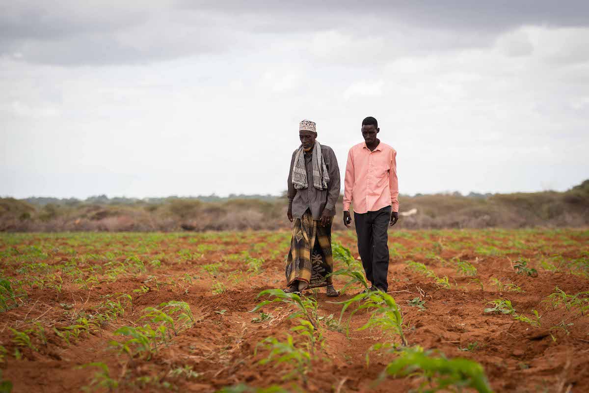 LEAF participant Hassan Abdullahi (right) walks across a plot with his father of irrigated farm land in Subo village, Tana River County. Photo: Lisa Murray/Concern Worldwide
