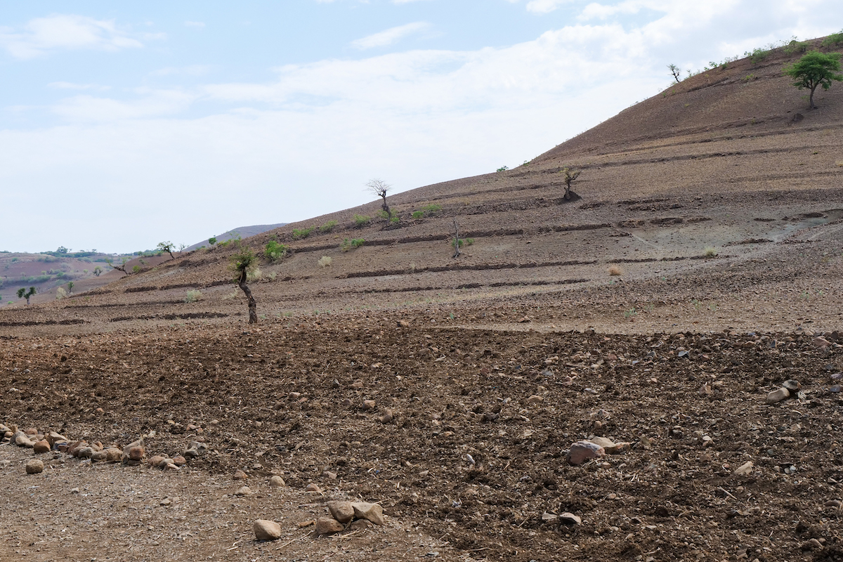 Head of Hamsit Kebele Agriculture office Mulu Chorie showcases the area covered by the Cherkos community watershed, part of the ReGRADE II program in Ethiopia. (Photo: Eugene Ikua/Concern Worldwide)