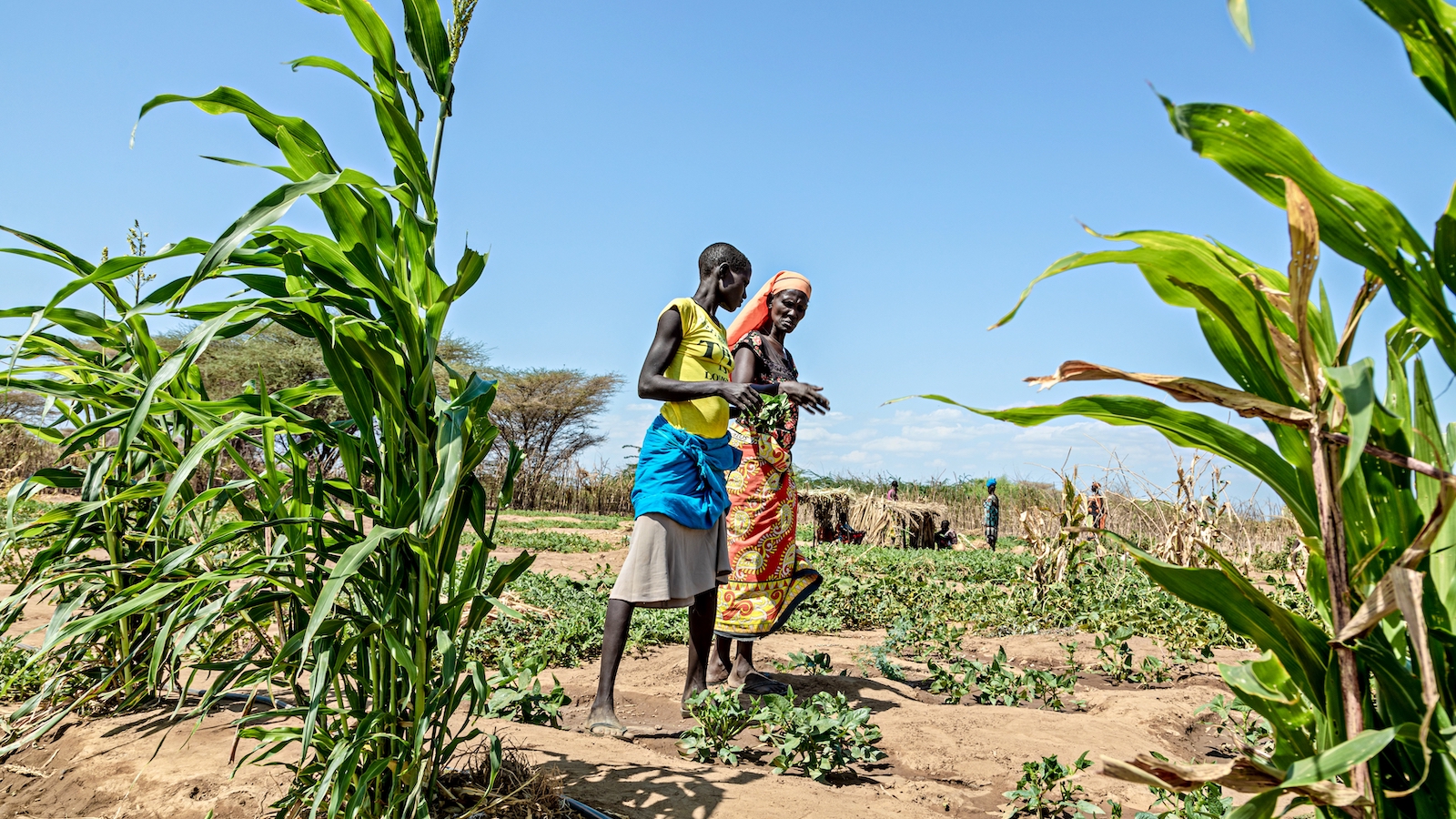 The borehole water system, powered by solar panels, was implemented by Concern Worldwide and sustains 460 households in the village. (Photo: Natalia Jidovanu/Concern Worldwide)
