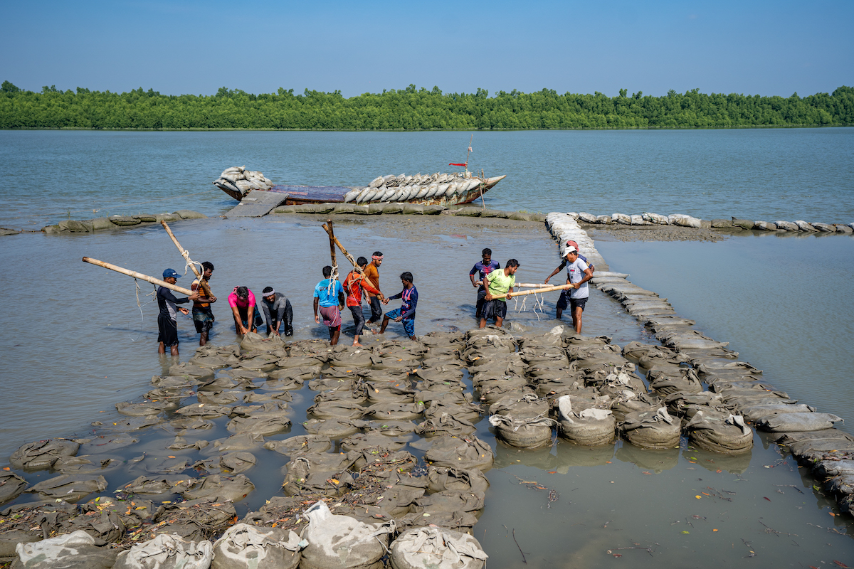Sandbags are taken to make an embankment along the River Rai in South Bedkashi, Dacope, Bangladesh. The embankment protects the community from flooding, and is set up as part of the Zurich Flood Resilience Project. (Photo: Mumit M/Concern Worldwide)