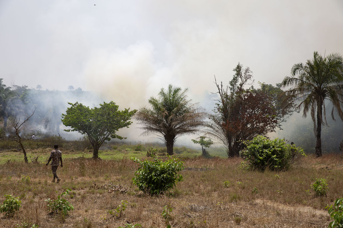 Land clearance using fire is popular in Sierra Leone, but environmentally unfriendly. (Photo: Kieran McConville/Concern Worldwide)
