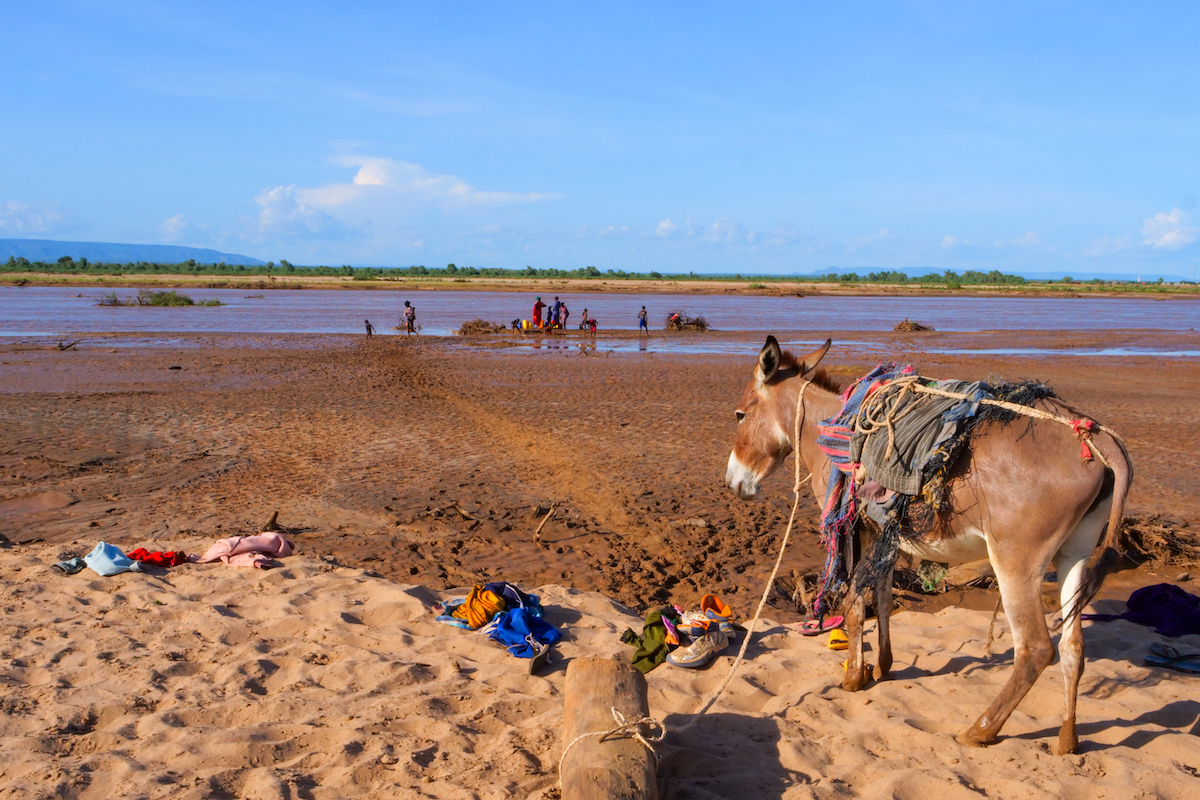Families fetch water from the Shebelle River in West Imi, Ethiopia. The river is the only water source available to communities in the area and is affected by the drought. (Photo: Eugene Ikua/Concern Worldwide)