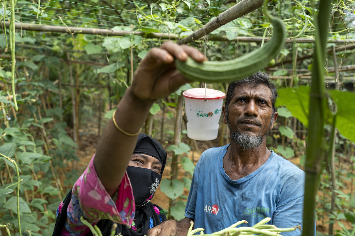 Sayed Mia and his wife Farija Khatun are receivers of Concern’s training support on nutrition, home gardening and seeds production for better nutritious life and livelihood in Holdiapalong, Ukhiya, Cox's Bazar. (Photo: Saikat Mojumder/Concern Worldwide)