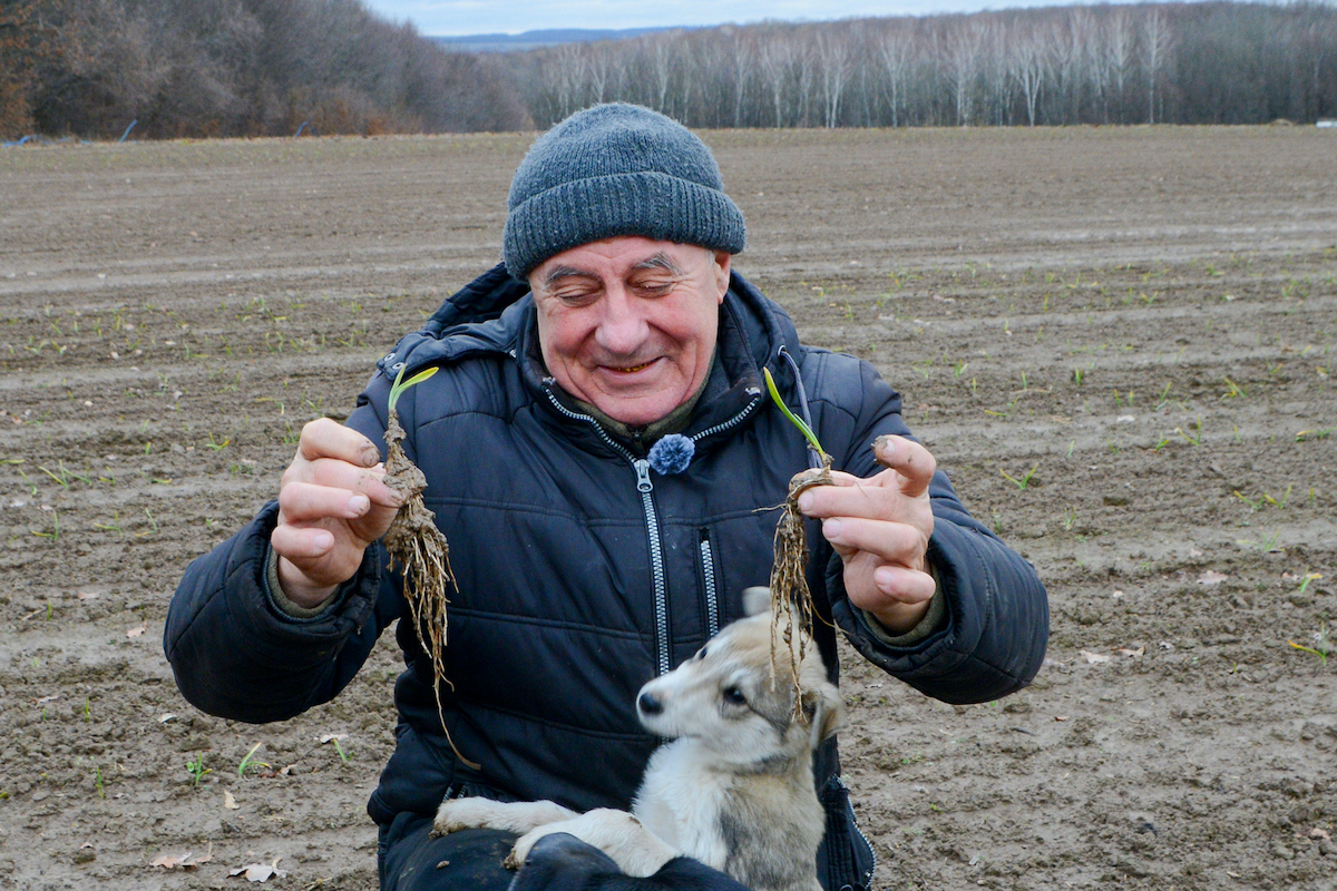 Farmer Ivan Zakharenko (64) grows garlic in Zhenyshkivtsi village, Khmelnytska Oblast, Ukraine. Ivan received a grant to help him get back on his feet after relocating from the occupied South. With the grant money, Ivan was able to purchase a tractor, an agro-navigator and a cargo trailer which helped him plant 20 hectares of garlic. Photo: Iryna Kotelnykova/JERU