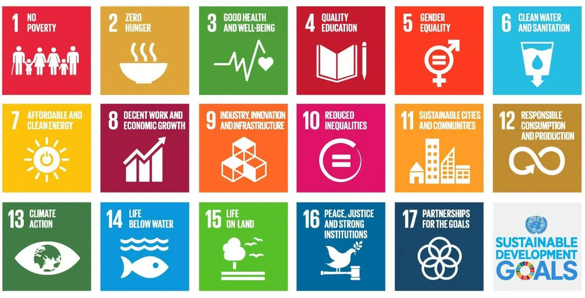 An infographic listing out the 17 Sustainable Development Goals.