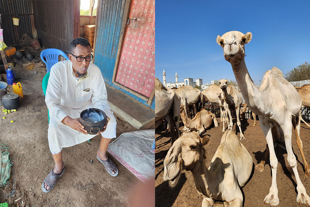 A Somali man drinking camel milk