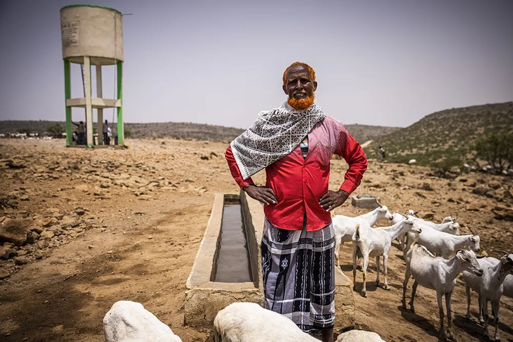 Abdi Jama, community member, with his sheep and goats in the water project in Dhidhid, Borama District Awdal in Somaliland. (Photo: Ed Ram / Concern Worldwide)