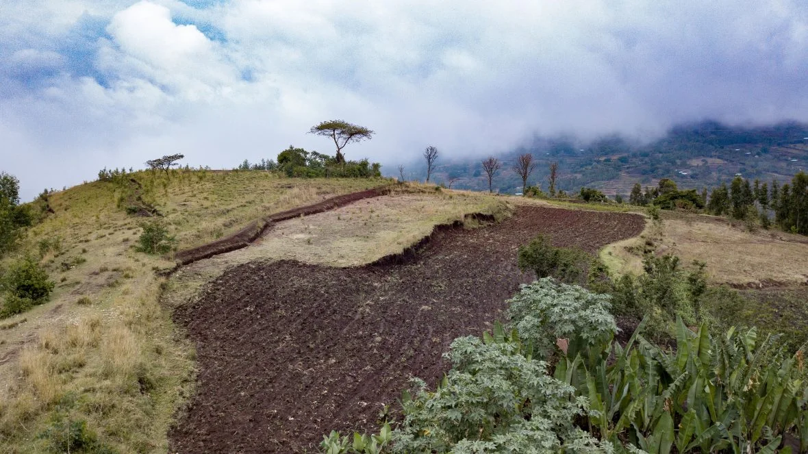 A small farm in southern Ethiopia