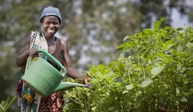 Woman watering her garden