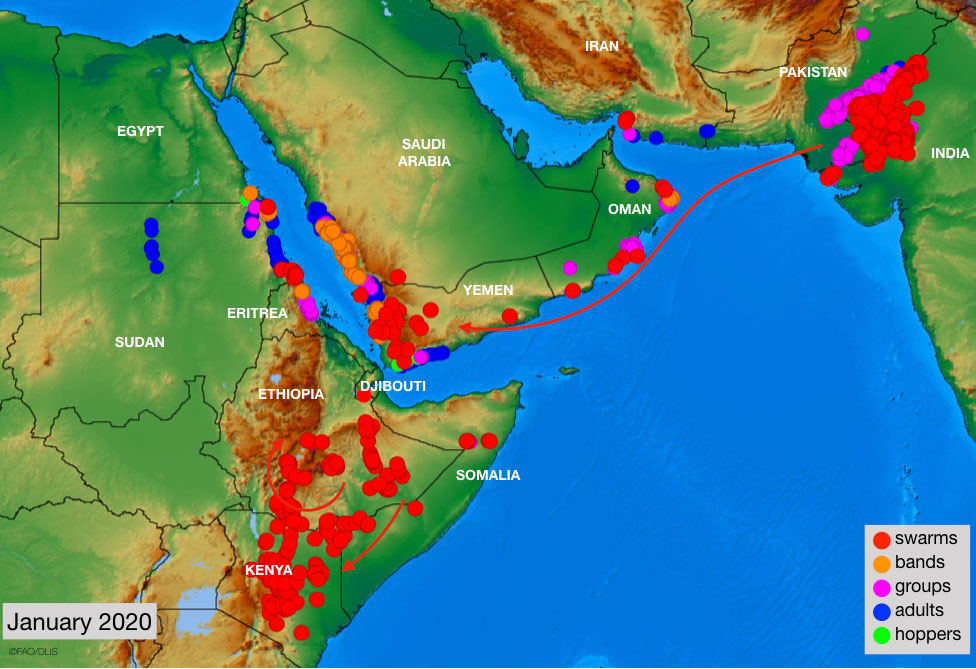 Map of locust activity