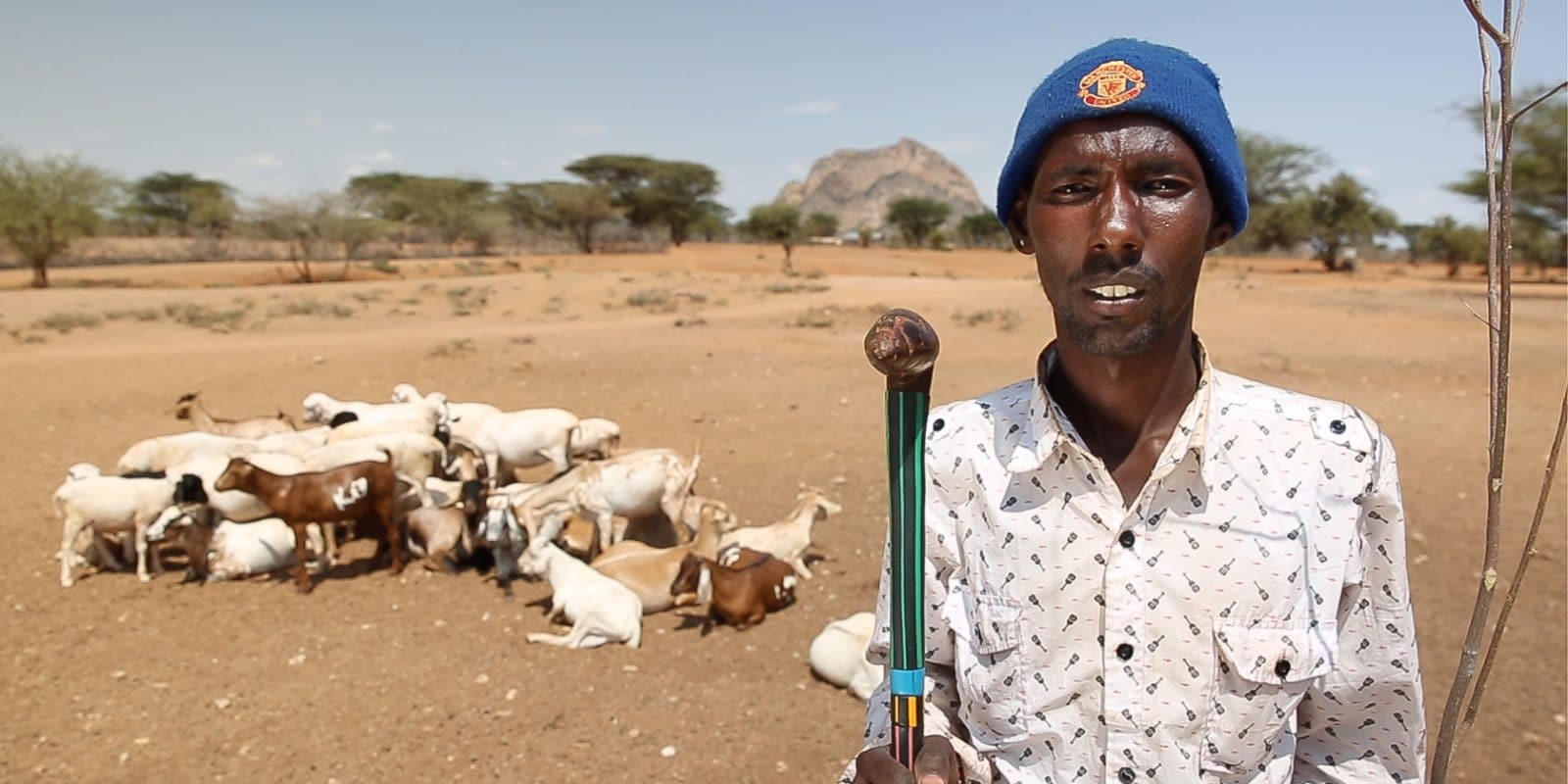 A pastoralist in Marsait, Kenya, with some of his livestock.
